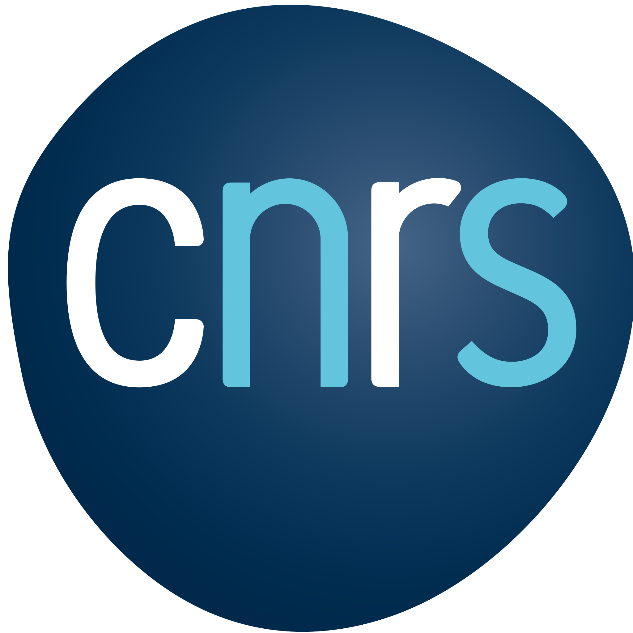 cnrs_logo